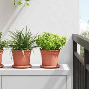 Imagine vidaXL Tavă rotundă pentru flori 6 buc. Roșu cărămidă Ø 14 x 2 cm