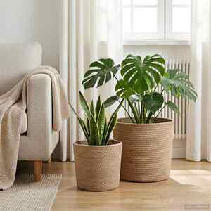 Imagine vidaXL Set de Ghivece pentru Plante 2 buc. natural Ø 28 x 28 cm