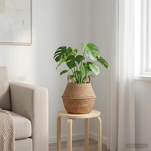 Imagine vidaXL Vază pentru plante cu mânere natural Ø 22 x 20 cm