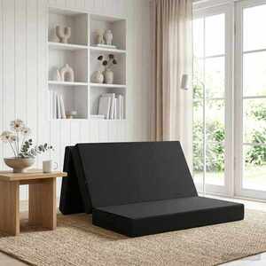 Imagine vidaXL Canapea Pat Pliabilă 120 x 67 x 45 cm Negru