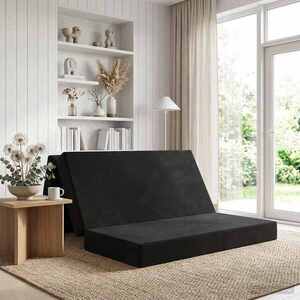 Imagine vidaXL Canapea Pat Pliabilă 120 x 67 x 45 cm Negru