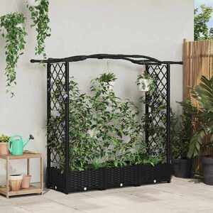 Imagine vidaXL Pat Ridicat cu Trellis și Acoperiș Negru 169 x 40 x 123 cm PP