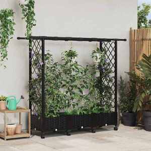 Imagine vidaXL Pat Ridicat cu Trellis și Acoperiș Negru 164 x 40 x 127 cm PP