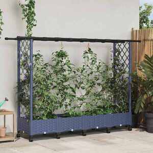 Imagine vidaXL Pat Ridicat cu Trellis și Acoperiș Gri 203 x 40 x 127 cm PP