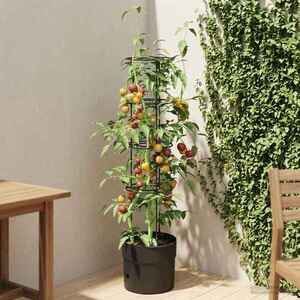 Imagine vidaXL Cultivator pentru roșii Negru Ø 32 x 127 cm PP