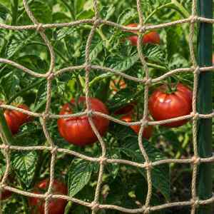 Imagine vidaXL Plasă de suport pentru plante din iută natural 2 x 5 m