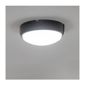 Imagine BRILAGI - Plafonieră industrială LED SIMA LED/12W/230V IP65 negru