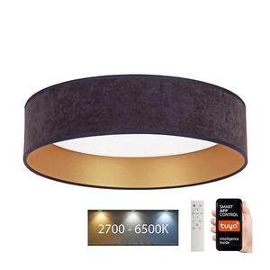 Imagine Plafonieră LED dimabilă BRILAGI VELVET SMART LED/24W/230V Wi-Fi Tuya + telecomandă