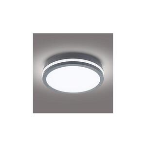 Imagine Corp de iluminat LED de exterior BRILAGI BENE LED/24W/230V d. 26 cm IP54