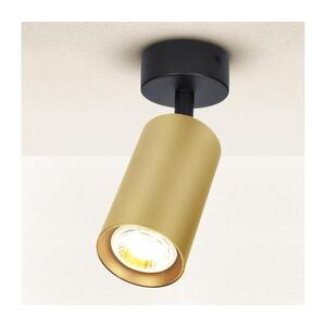 Imagine Spot BRILAGI SELE GOLDEN 1xGU10/30W/230V negru/auriu