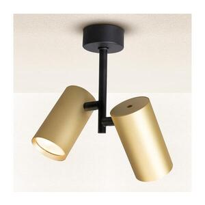 Imagine Spot BRILAGI SELE VERTICAL 2xGU10/30W/230V negru/auriu