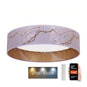Imagine Plafonieră LED dimabilă BRILAGI VELVET SMART LED/36W/230V Wi-Fi Tuya + telecomandă