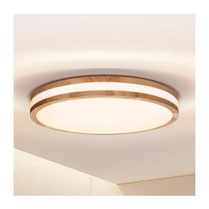 Imagine Plafonieră LED BRILAGI MOLINA LED/24W/230V stejar