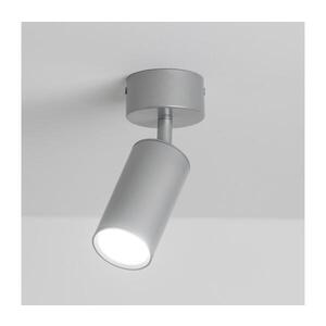 Imagine Spot pentru baie BRILAGI SELE 1xGU10/30W/230V IP44 argintiu