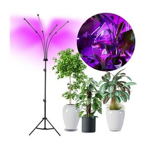 Imagine Lampadar LED dimabil pentru creșterea plantelor BRILAGI VITABLOOM 4xLED/7, 5W/230V