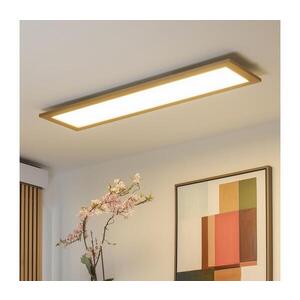 Imagine Plafonieră LED BRILAGI SLIMFRAME WOOD LED/58W/230V 124x34 cm maro