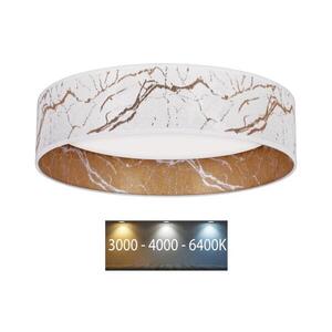 Imagine Plafonieră LED BRILAGI VELVET LED/24W/230V 3000/4000/6400K alb/auriu