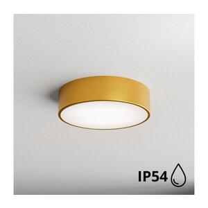 Imagine Plafonieră pentru baie BRILAGI CLARE 2xE27/24W/230V d. 30 cm IP54 auriu