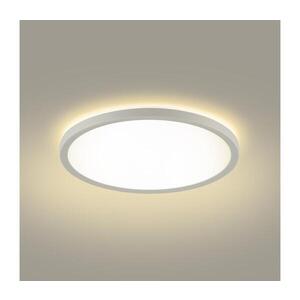Imagine Plafonieră LED pentru baie BRILAGI ULTRA SLIM LED/12W/230V d. 22, 5 cm alb IP54