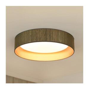 Imagine BRILAGI - Plafonieră LED BOSTON ROLLER LED/24W/230V pr. 45 cm maro/auriu