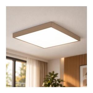 Imagine BRILAGI - LED Plafonieră pentru baie FRAME LED/50W/230V 60x60 cm IP44 bej