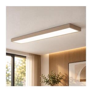 Imagine BRILAGI-LED Plafonieră pentru baie FRAME LED/50W/230V 120x30 cm IP44 bej