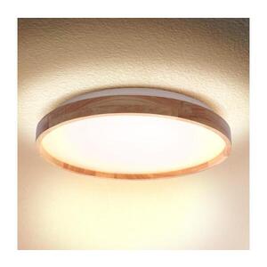 Imagine BRILAGI - Plafonieră LED ALSON LED/24W/230V stejar