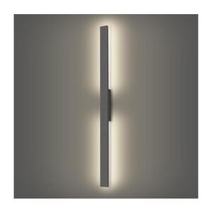Imagine BRILAGI - Aplica LED de exterior LUNA, 24 W, 230 V, 4000 K, IP65, antracit