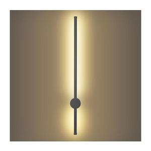 Imagine BRILAGI - Aplică de perete LED pentru exterior AURA LED/12W/230V 3000K IP54 antracit