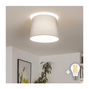 Imagine BRILAGI - Lustră aplicată LED CERIA, 1xE27/40W/230V, Ø 30 cm, gri