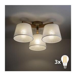 Imagine BRILAGI - Lustra aplicată LATTE SABIA 3xE27/15W/230V pin/alb