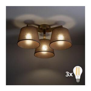 Imagine BRILAGI - Lustră aplicată LATTE SABIA 3xE27/15W/230V pin/maro