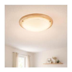 Imagine BRILAGI - Plafonieră ORBIS 1xE27/60W/230V Ø 30 cm, pin