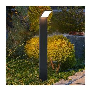Imagine BRILAGI RIANO - Lampă LED de exterior, 8 W, 230 V, antracit, IP65, 80 cm