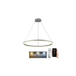 Imagine BRILAGI - Lampă suspendată LED CIRCLE, dimabilă, pe cablu, 55W/230V 3000-6500K + telecomandă