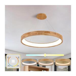 Imagine BRILAGI - Lustră LED FALCON WOOD MODERN, suspendată pe cablu, LED/60W/230V, Ø 80 cm, lemn