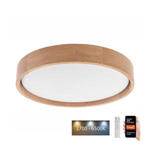 Imagine BRILAGI - Plafonier MANAROLA SMART LED 24W 230V cu telecomandă Tuya