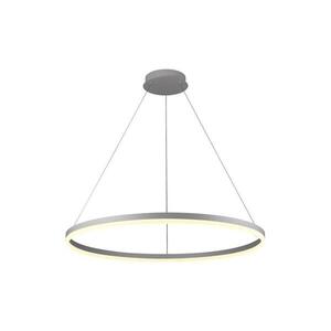 Imagine BRILAGI - Lustră LED dimabilă suspendată pe cablu CIRCLE LED/55W/230V 3000-6500K argintiu + telecomandă