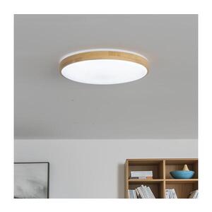 Imagine BRILAGI - Plafonier LED reglabil PINE LED/24W/230V + telecomandă