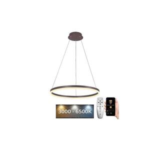 Imagine BRILAGI - Lustră LED dimabilă pe cablu CIRCLE LED/42W/230V 3000-6500K maro+telecomandă