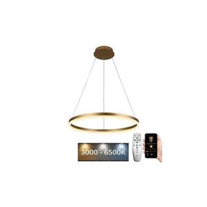 Imagine BRILAGI - Lustră LED dimabilă suspendată pe cablu CIRCLE, 42W/230V, 3000-6500K + telecomandă