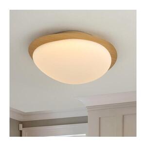 Imagine BRILAGI - Plafonieră LED VISBY WOOD LED/18W/230V Ø38 cm maro
