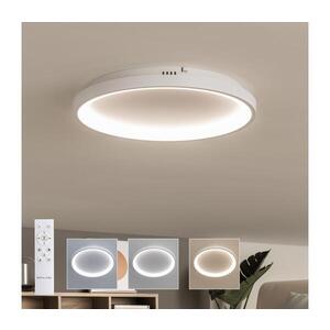 Imagine BRILAGI - Plafonieră LED dimabilă FALCON SLIM, 42 W, 230 V, diametru 50 cm, albă + telecomandă