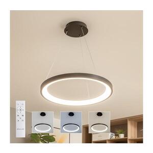 Imagine BRILAGI - lustra LED dimmabilă pe cablu FALCON SLIM, LED 42 W, 230 V, Ø 50 cm, negru + telecomandă