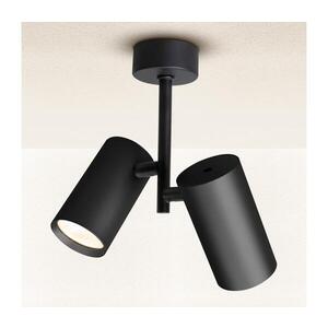 Imagine Spot BRILAGI SELE VERTICAL 2xGU10/30W/230V negru