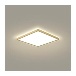 Imagine BRILAGI - Corp de iluminat LED pentru baie ULTRA SLIM LED/18W/230V 30x30 cm auriu IP54