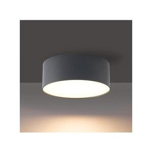 Imagine BRILAGI - Plafonieră LED pentru baie FORIS, 14 W, 230 V, Ø 12 cm, antracit, IP44