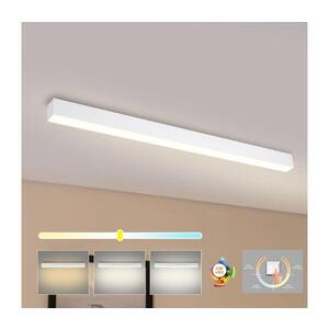 Imagine BRILAGI - SLEEKLINE Plafonieră LED pentru baie LED/40W/230V alb IP44