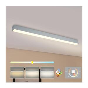 Imagine BRILAGI - Plafonieră LED pentru baie SLEEKLINE LED/40W/230V, argintie, IP44