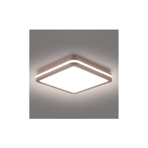 Imagine BRILAGI - LED Plafonieră de exterior BENE LED/24W/230V 26x26 cm maro IP54